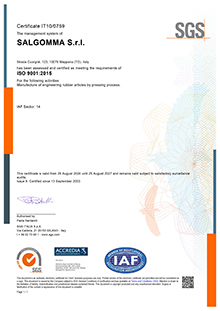 ISO-9001_2015_2024